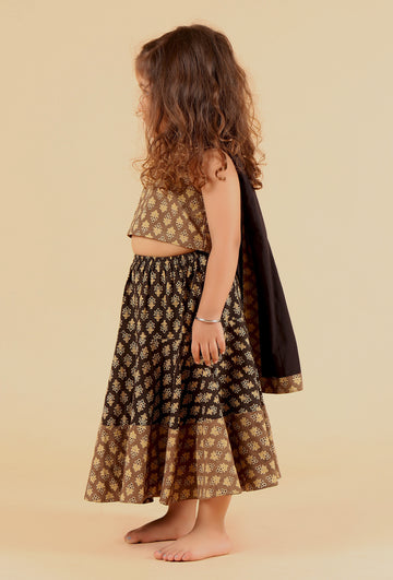 Set Of 3: Adya Khaki Ajrakh Print Cotton Top, Black Skirt & Dupatta